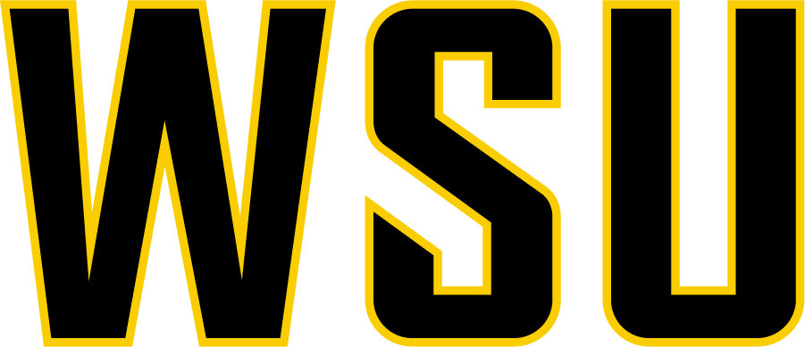Wichita State Shockers 2016-Pres Wordmark Logo iron on transfers for T-shirts
